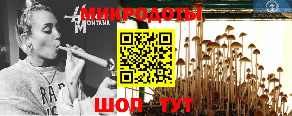 Псилоцибиновые грибы мицелий Гурьевск